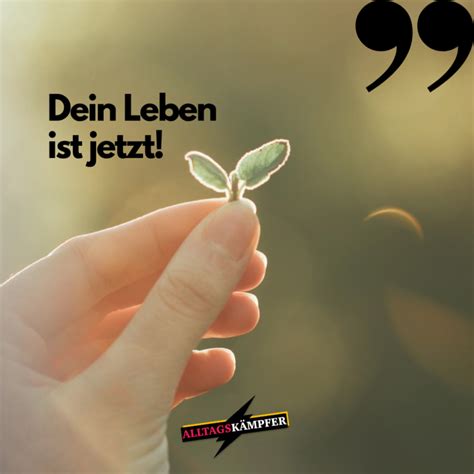 „Dein Leben ist jetzt!“ - Alltagskämpfer