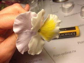 Керамическая флористика по созданию Анютины Глазки | Анютины глазки ...