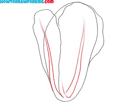 how to draw lettuce