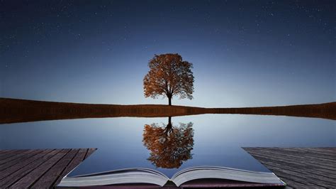 Обои озеро книга, дерево на рабочий стол