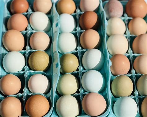 New facilities for howze mortuary are planned for next year 7