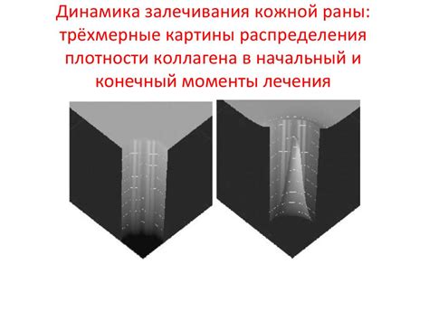 Моделирование в медицине. Экспертные системы - презентация онлайн
