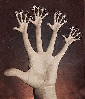 Imaginarium: The Grotesque