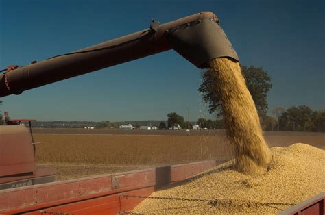 What demand destruction? Grain prices seeing “surprising” strength