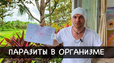 "ПАРАЗИТЫ В ОРГАНИЗМЕ" как избавиться от паразитов навсегда? Убойное ...