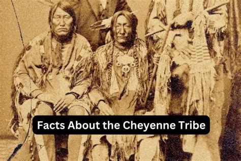 facts   cheyenne tribe  fun  history