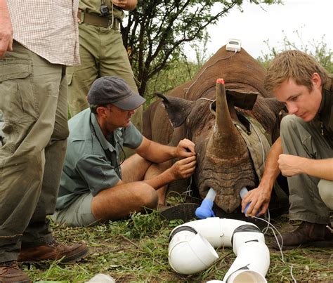 Keep Namibia's Wildlife on the Land