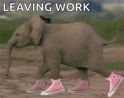 Leaving Work GIFs | GIFDB.com