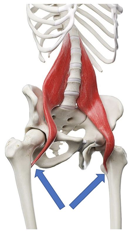 iliopsoas bursitis symptoms injuries  pain dr justin dean