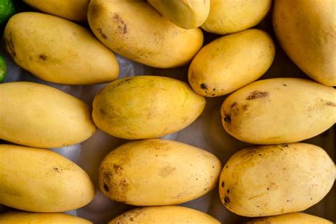types  mangoes  pictures house grail