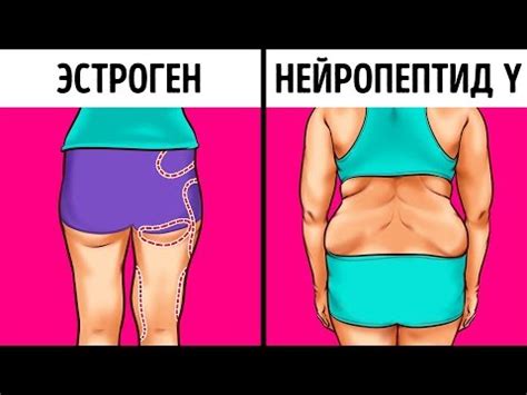 Как перехитрить гормоны, отвечающие за набор веса - Стильные советы