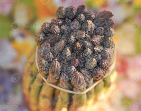 Asparagus officinalis spring vegetable flowering perennial food 7329975