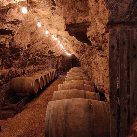 domaine noctua vaudelnay france hours address tripadvisor