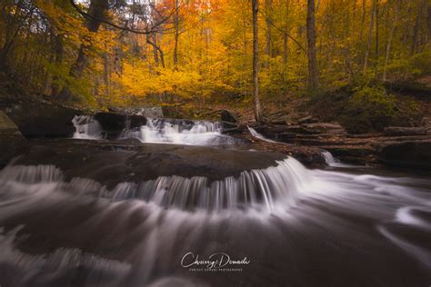 Fall Photography: Easy & Effective Post Processing Tips