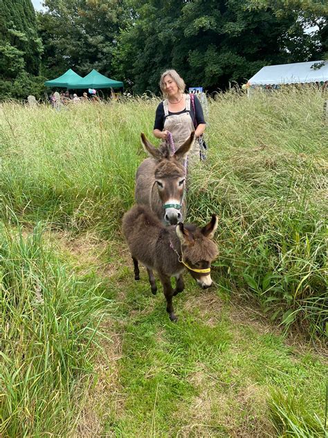 Pennywort Mill Miniature Donkeys - Introducing Pixie Dust, Mrs Bumble