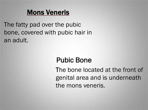 PPT - The Female Reproductive System PowerPoint Presentation, free