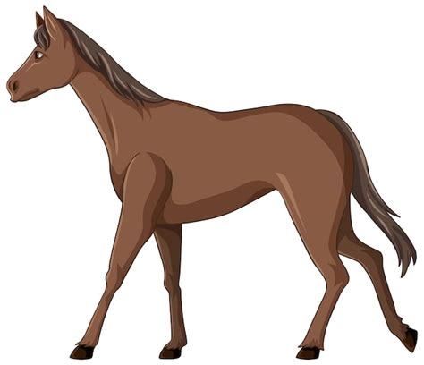 Kon Clip Art Zdjęcia - darmowe pobieranie na Freepik