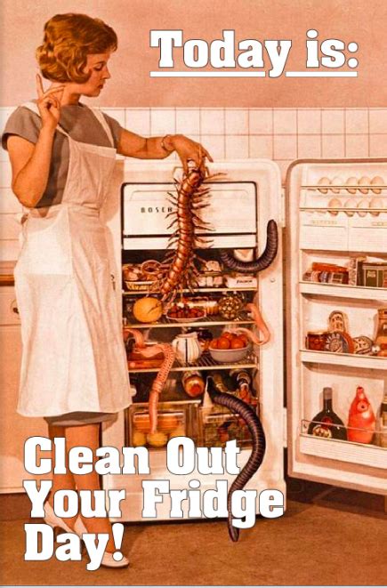 cleaning fridge memes
