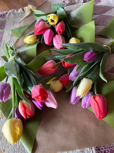 Suzy Sun Flowers | Lake Country BC