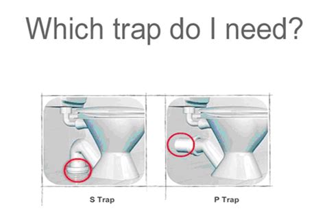 P Trap Vs S Trap - cloudshareinfo