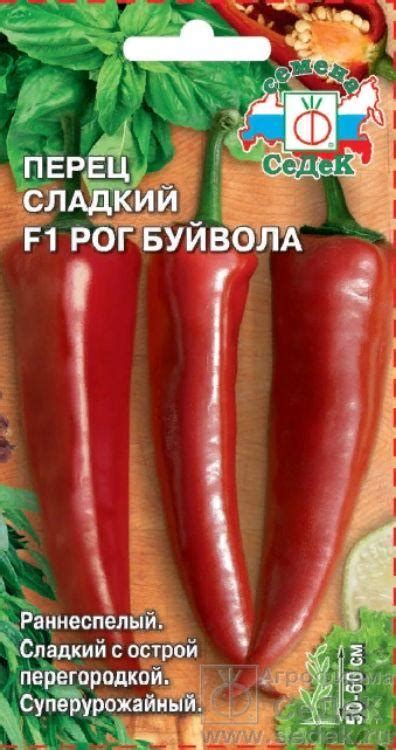 Золотая сотка алтая