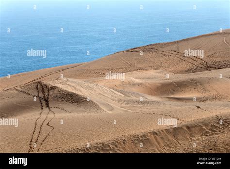 view   desert landscape  concon dunes  large area  sand