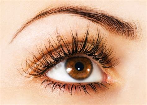 Imagenes De Ojos Cafes