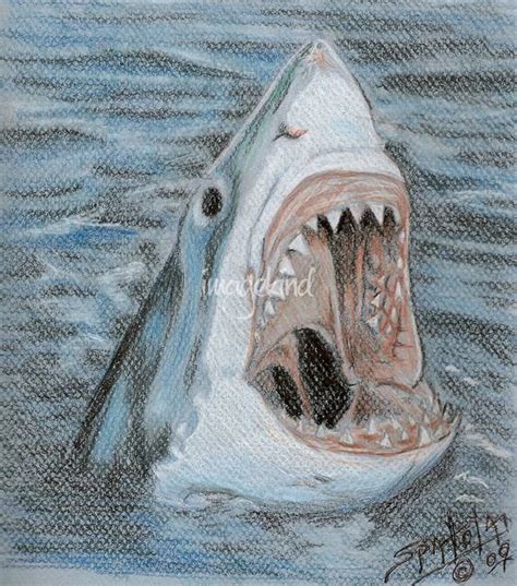 Realism "Shark" Drawings And Illustrations For Sale On Fine Art Prints