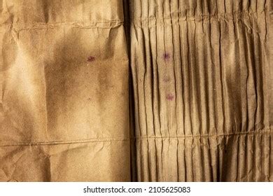 damp paper images stock  vectors shutterstock