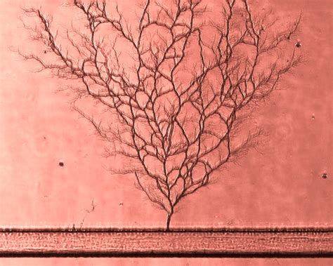 You Won't Believe What This Image Is