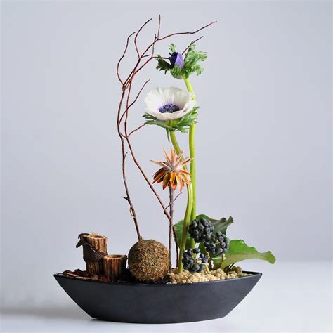 Анемона (Anemone) или Ветреница - Kazan Flower School
