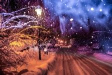 Winter Tree Free Stock Photo - Public Domain Pictures