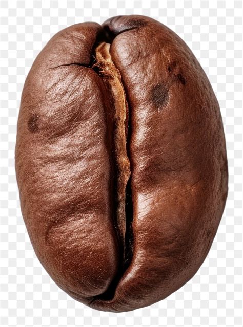 Coffee Bean Png 103 Coffee Beans Png Stock Photos Free