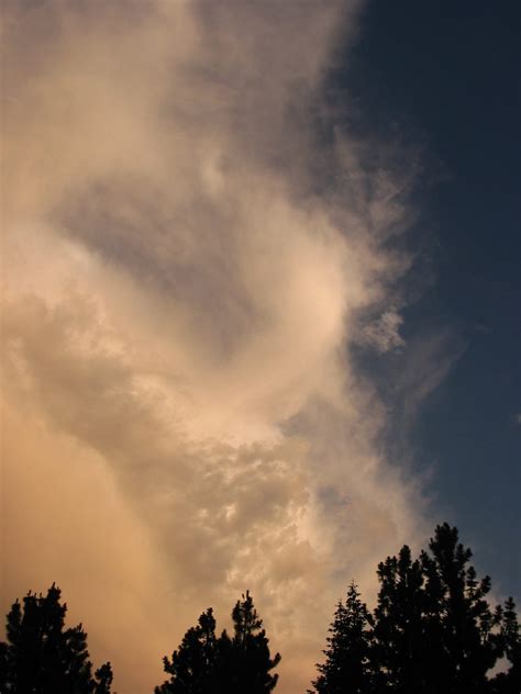 virtual environments work