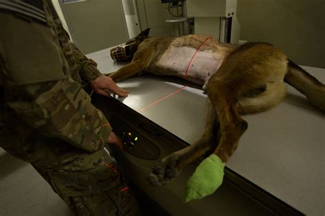 Combat Radiologists: They see right through you > U.S. Air Forces