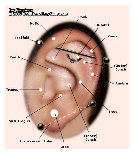 Different Types Of Ear Piercings And Their Names