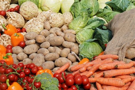 Вкусные овощные блюда — залог хорошего самочувствия