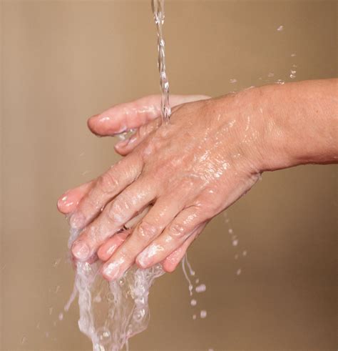 Gel Hand Soap: Non-Toxic Fragrance Free | Branch Basics