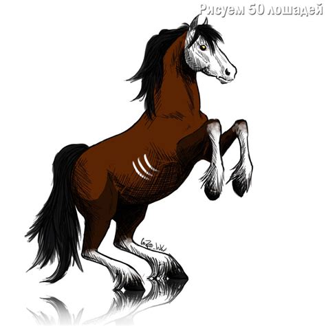20 Draw 50 Horses - Lee J. Ames by GroZa-WhiteWolf on DeviantArt