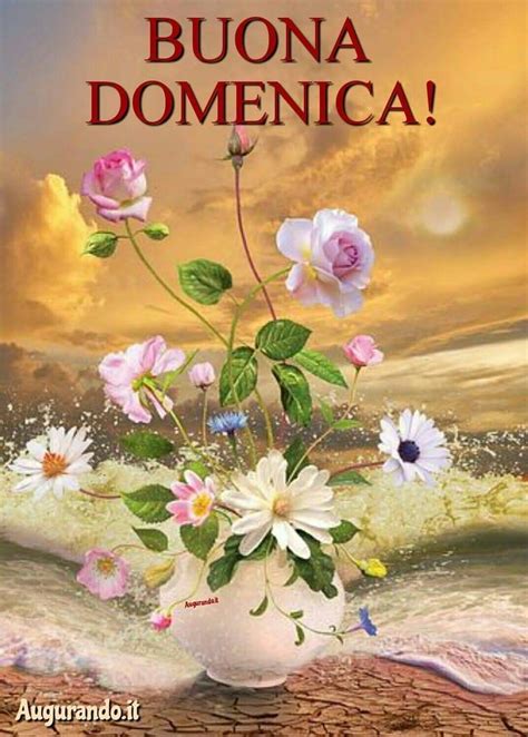 Immagini Buona Domenica Buongiorno - ImmaginiBuongiorno.eu | Buona ...
