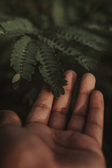 7,000+ Best Biology Photos · 100% Free Download · Pexels Stock Photos