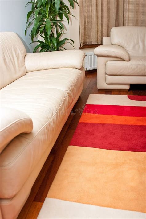 Sofa and Rug in Living Room Stock Photo - Image of indoor, seating ...