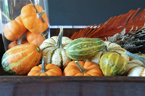 DIY Thanksgiving Centerpiece | Livemore™