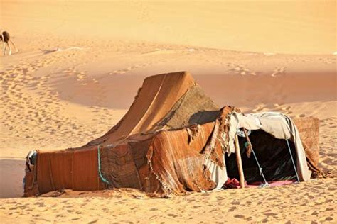 THE GRANDMA'S LOGBOOK ---: THE AMAZIGH CULTURE: SERENITY AND RESISTENCE