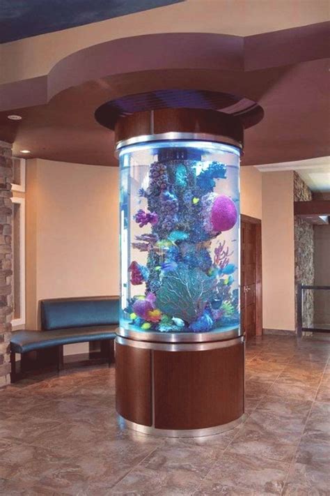 saltwater aquarium design ideas