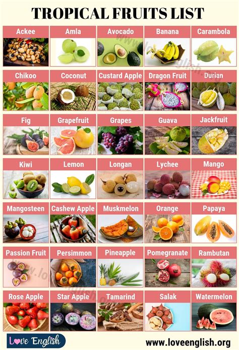 Tropical fruits top 35 delicious tropical fruits you should try – Artofit