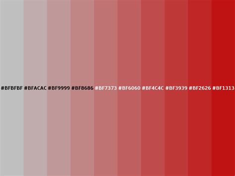 Hex BFBFBF color