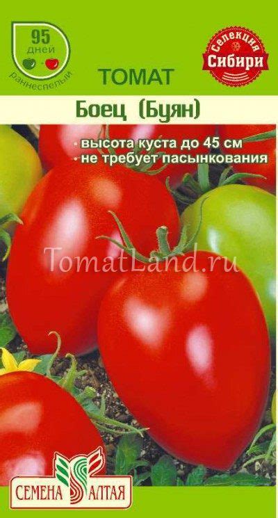 Томат Буян: ОТЗЫВЫ (42), фото, описание и характеристика | tomatland.ru