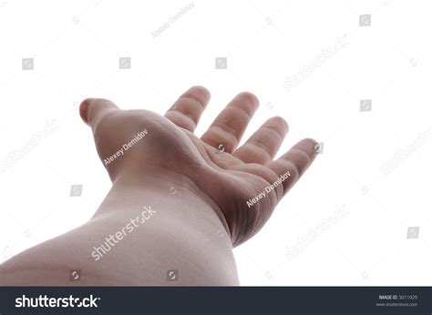 open palm stock photo  shutterstock