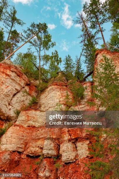 Pinezhsky Nature Reserve - Fotografias e Filmes do Acervo - Getty Images